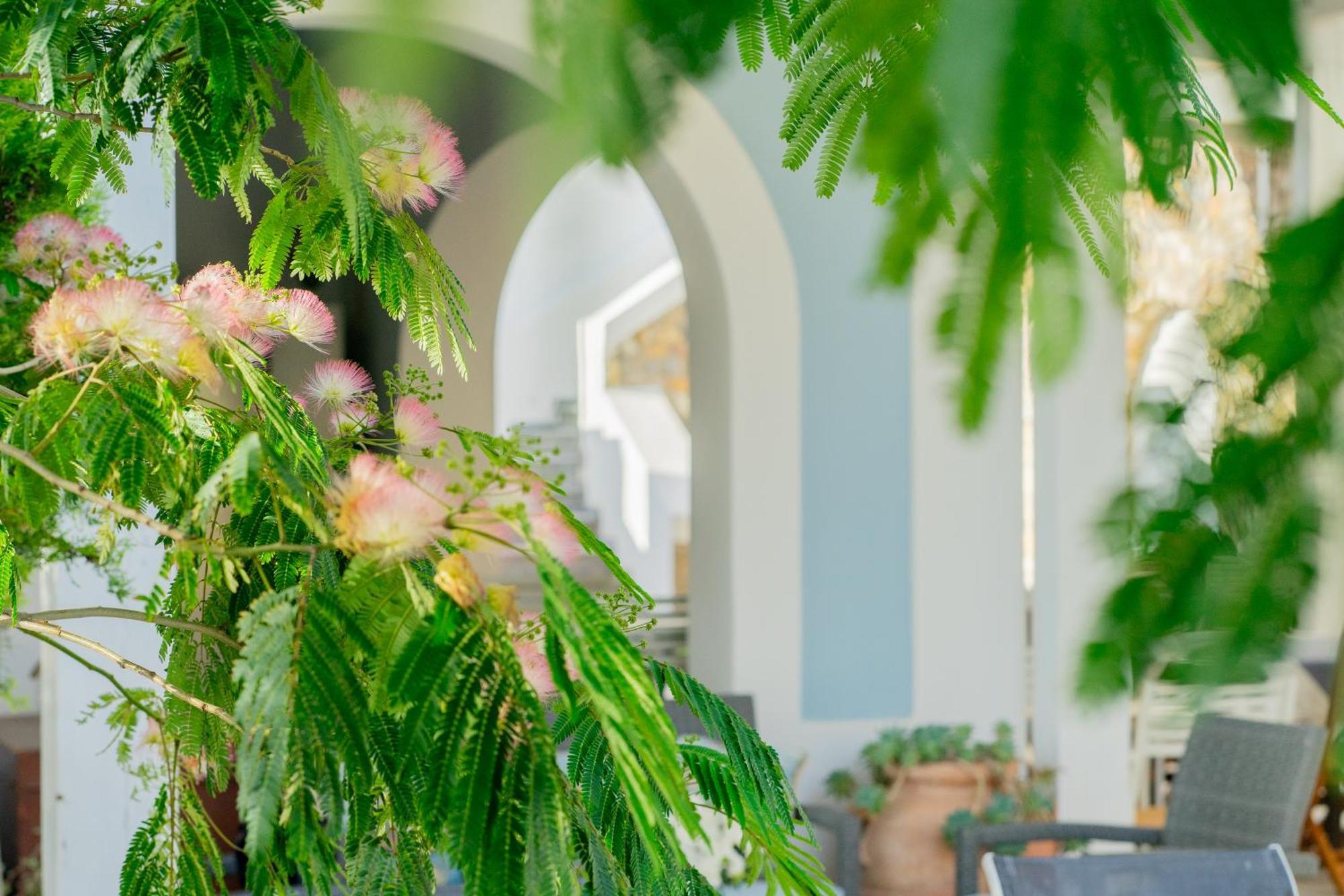 Villa Acacia Ponza Buitenkant foto