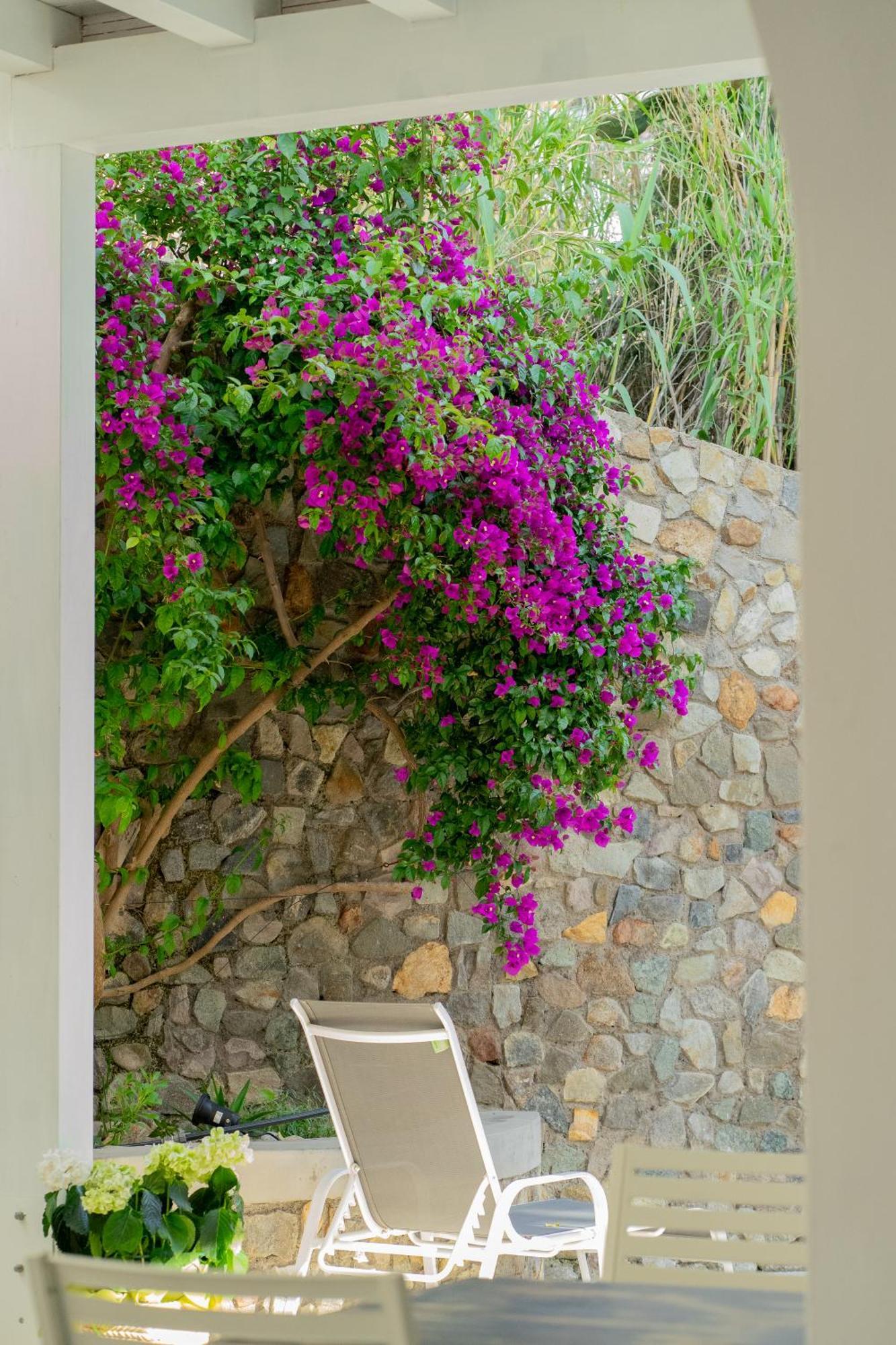 Villa Acacia Ponza Buitenkant foto